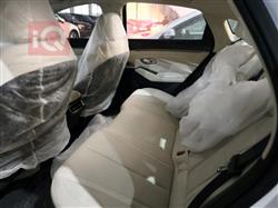 بي واي دي كوين L DM-i